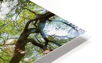 V1448 HD Metal print
