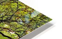 V1450 HD Metal print