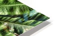 V1452 HD Metal print