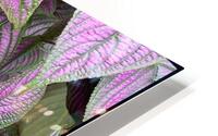V1479 HD Metal print