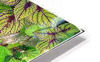 V1484 HD Metal print