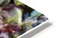 V1487 HD Metal print