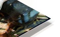 V1494 HD Metal print