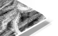 V1500 HD Metal print