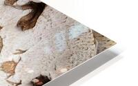 V1505 HD Metal print