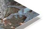 V1509 HD Metal print