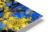 V1512 HD Metal print