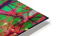 V1514 HD Metal print