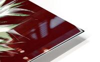 V1518 HD Metal print