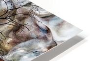 V1527 HD Metal print