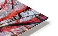 V1530 HD Metal print