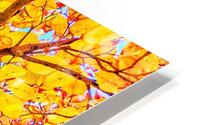 V1539 HD Metal print