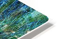 V1541 HD Metal print