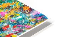 V1559 HD Metal print