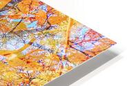 V1566 HD Metal print