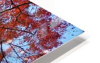 V1570 HD Metal print