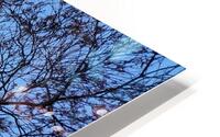 V1572 HD Metal print
