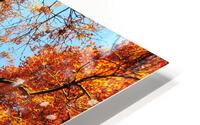 V1573 HD Metal print