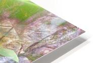 V1577 HD Metal print