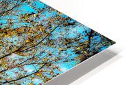 V1579 HD Metal print