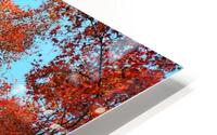 V1580 HD Metal print