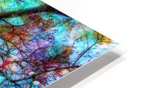 V1591 HD Metal print