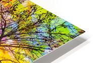 V1593 HD Metal print
