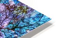 V1595 HD Metal print