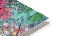V1596 HD Metal print