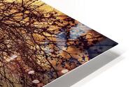 V1597 HD Metal print