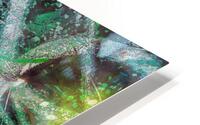 V1598 HD Metal print