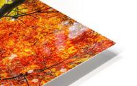 V1600 HD Metal print