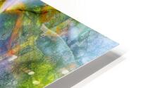 V1609 HD Metal print