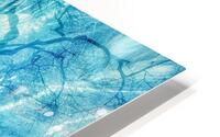 V1630 HD Metal print