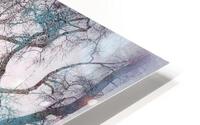 V1642 HD Metal print