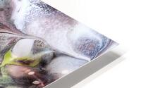 V1645 HD Metal print