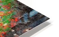 V1646 HD Metal print