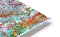 V1648 HD Metal print