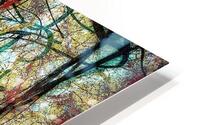 V1655 HD Metal print