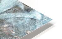 V1660 HD Metal print