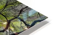 V1661 HD Metal print
