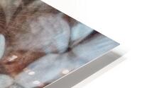 V1662 HD Metal print