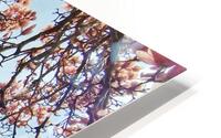 V1665 HD Metal print