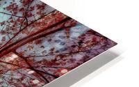 V1668 HD Metal print