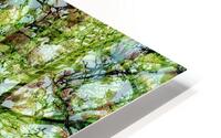 V1671 HD Metal print