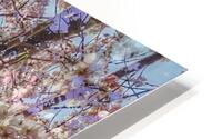 V1675 HD Metal print