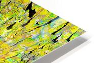 V1679 HD Metal print