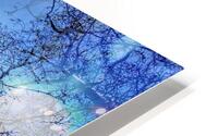 V1683 HD Metal print