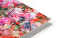 V1686 HD Metal print