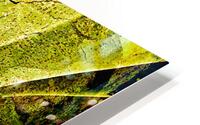 V1687 HD Metal print